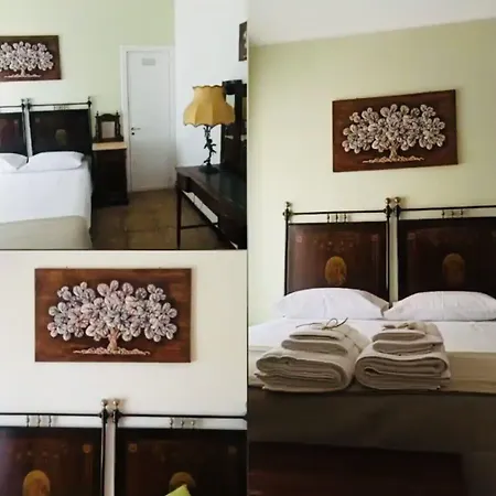 Dona Flor 파라비타