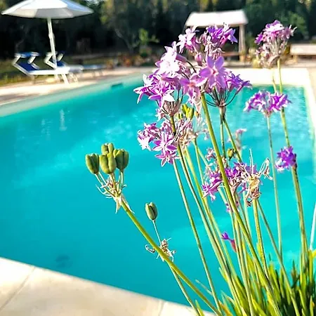 Bed & Breakfast Dona Flor
